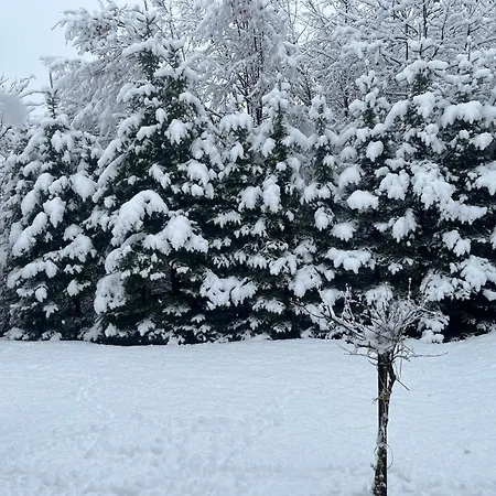 شقة فندقية Ljiljin Raj