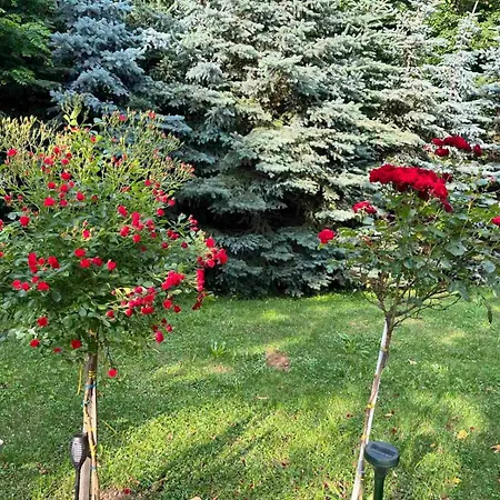 Ljiljin Raj شقة فندقية *